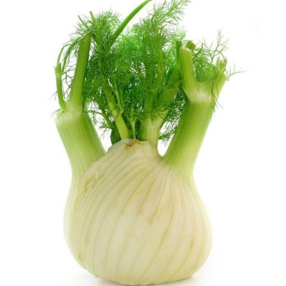 Fenouil au Kg