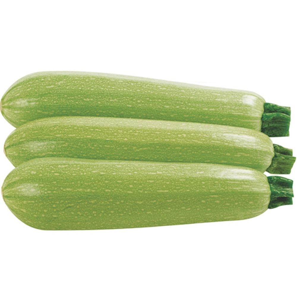 Courgette en Barquette 1 unité