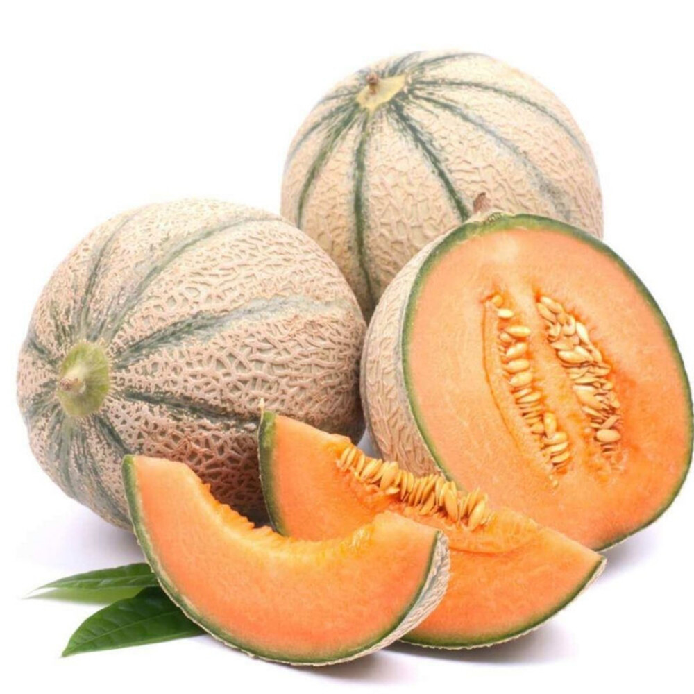 [75790] Melon Cantaloup Import au Kg