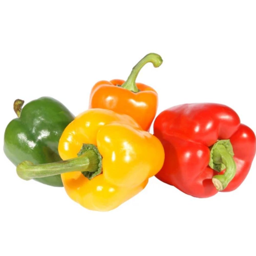 Poivron Couleurs Agro-Écologique au Kg