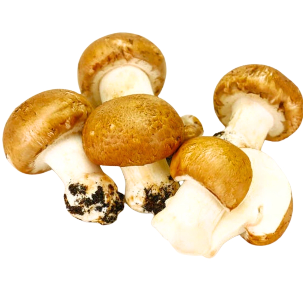 Champignon de Paris Local 500g