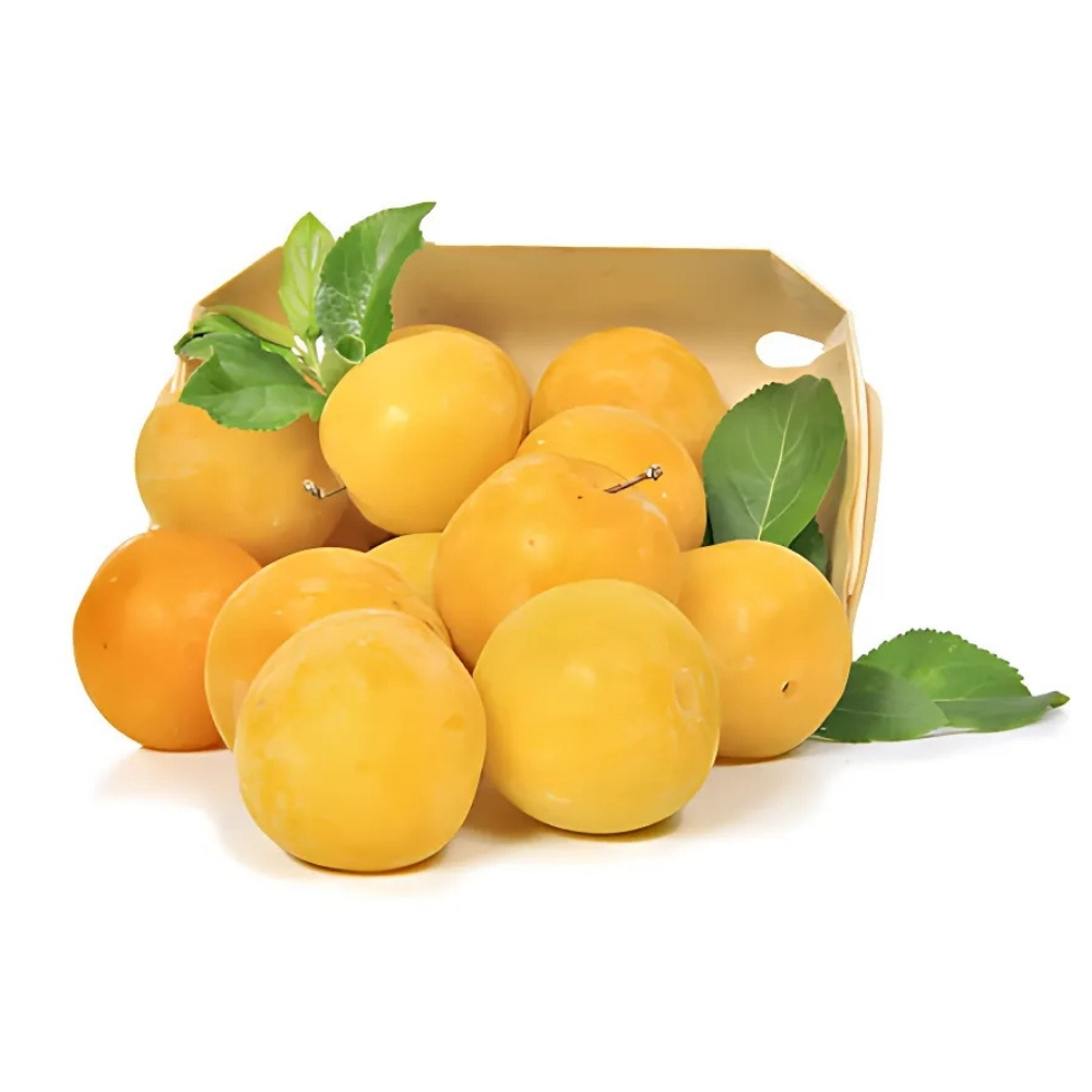 [581462] Prune Jaune en Barquette 1 unité