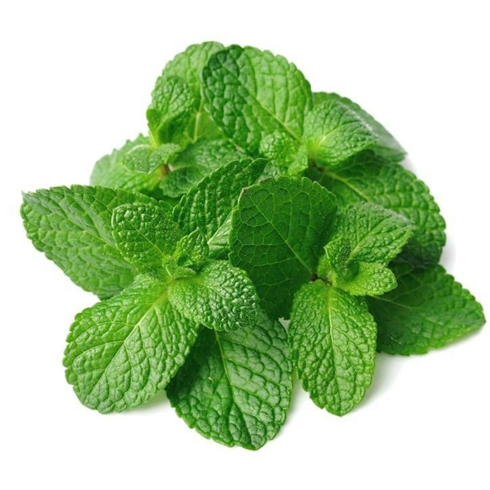Menthe Agroécologique à La Pièce