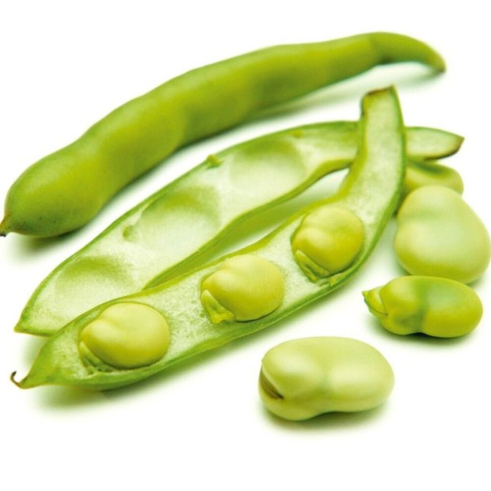 Fève D'Espagne 500g