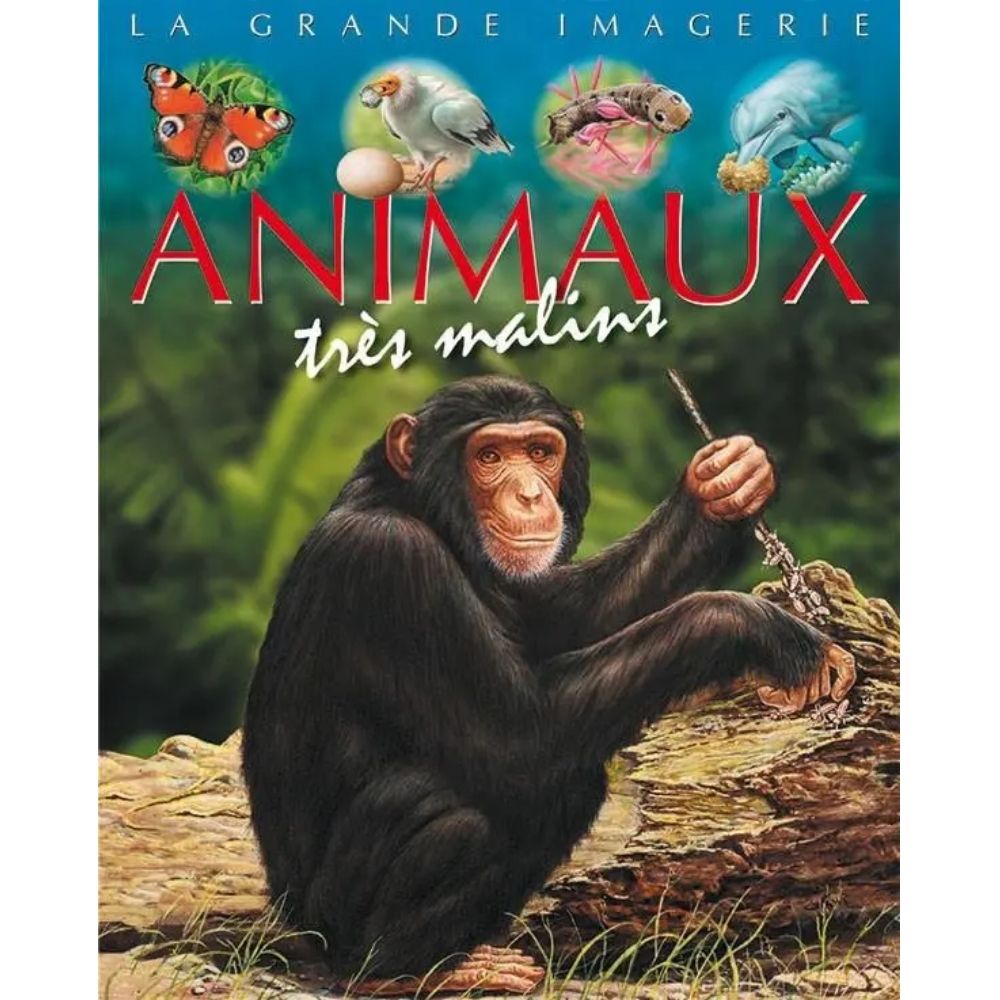 [639538] La grande imagerie : Animaux très Malins