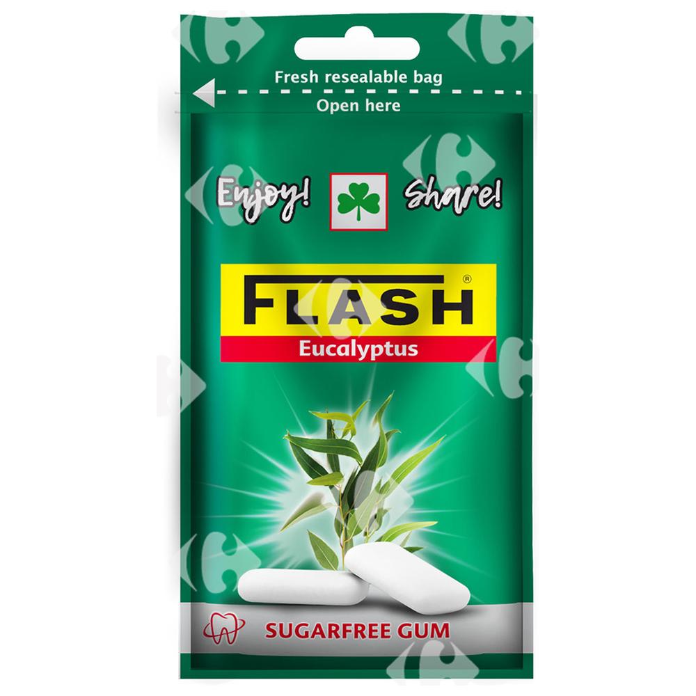 [686521] Sachet Cewing-Gum Eucalyptus Flash 35g