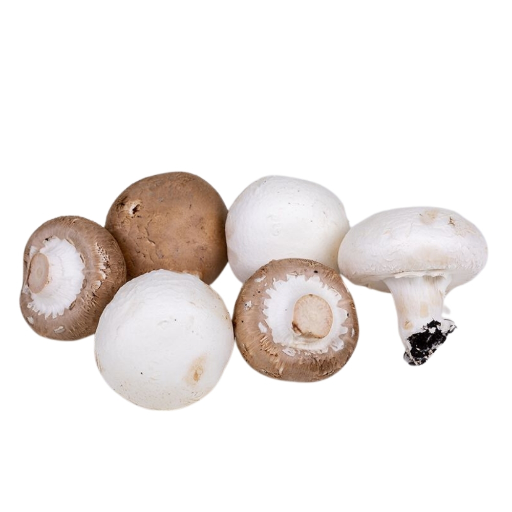 [627898] Champignon Champibello 275g