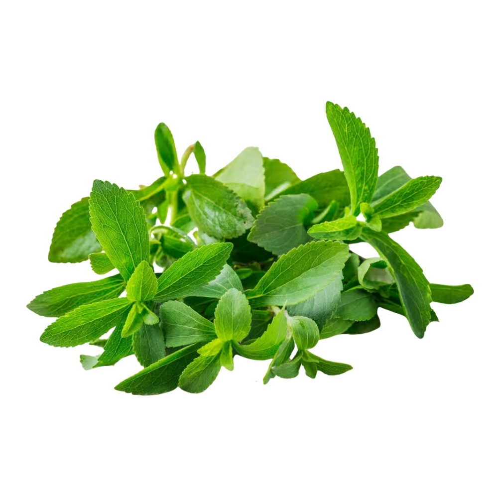 [672634] Stevia Agro-Eco à La Pièce