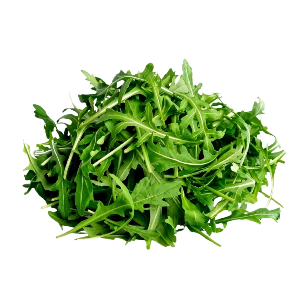 Roquette Bio Barquette 120g