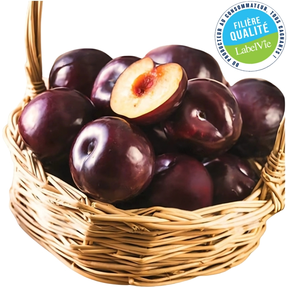 Prune Barquette 500g - Filière Qualité.