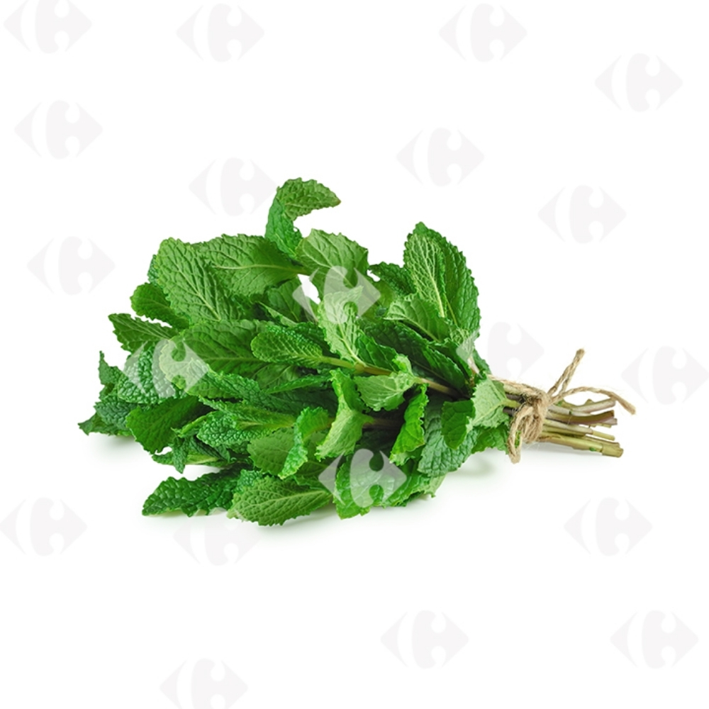 [635771] Menthe Barquette Bio 20g