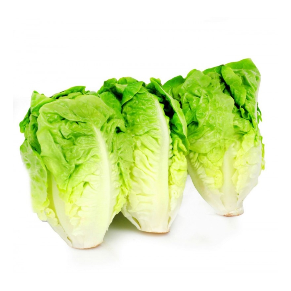 Salade Laitue Sucrine à la pièce.