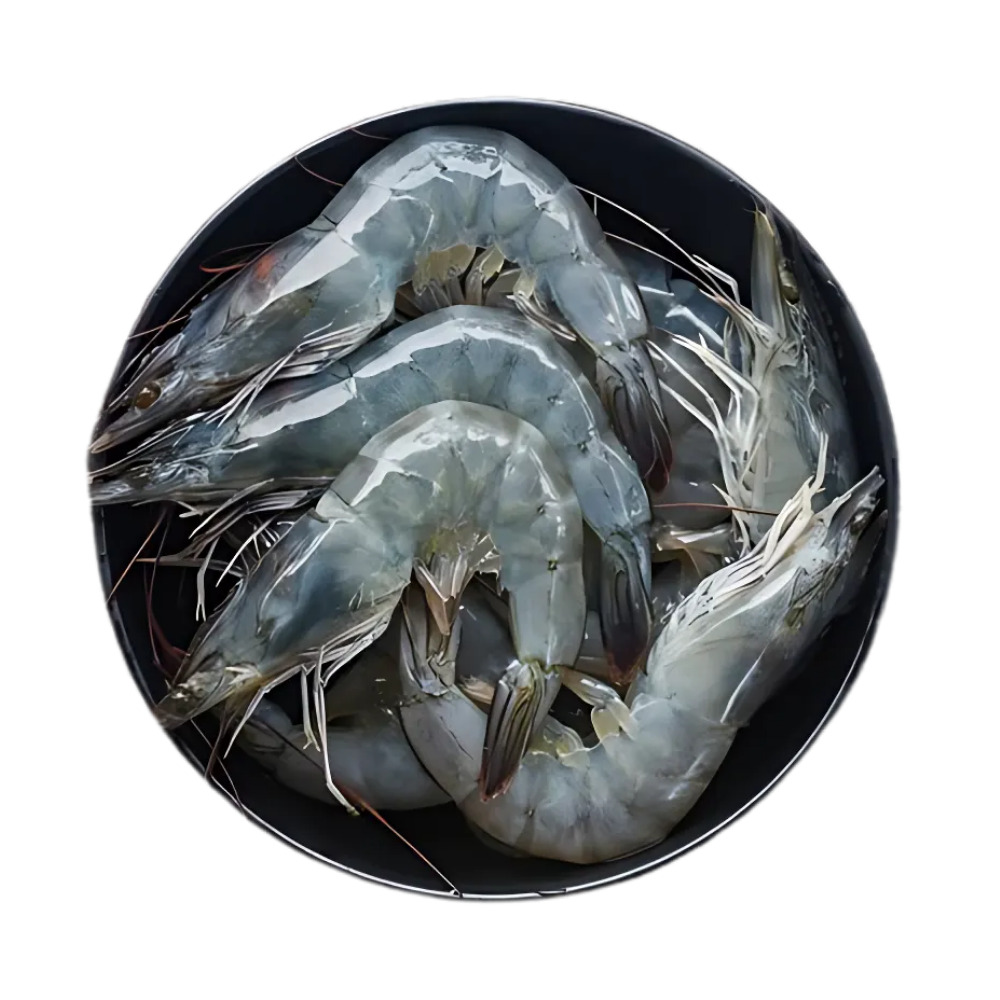 [728704] Crevettes Grises Réfrigérées 13/15
