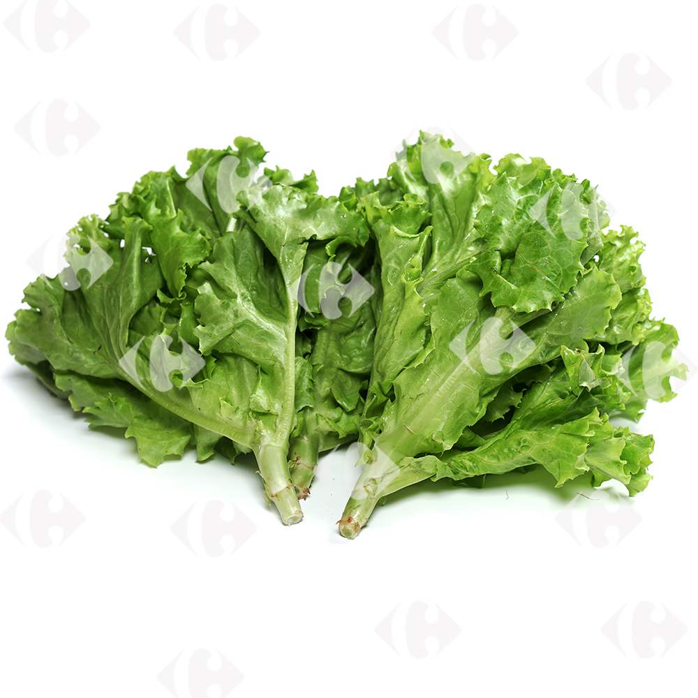 Salade Lolo Verte à la pièce.