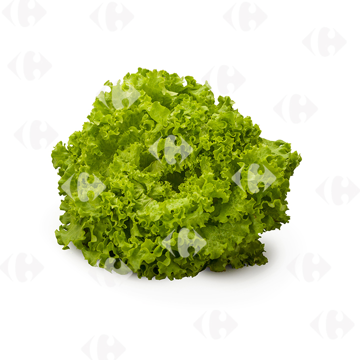 [162282] Salade Batavia Verte à la Pièce.