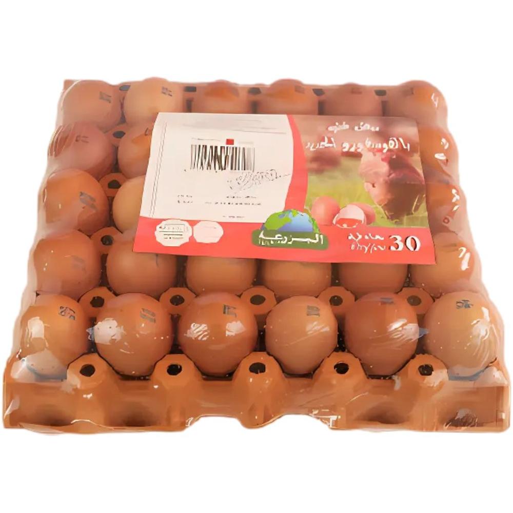 [670146] Œufs Enrichis Vitamine Gros Calibre Ovocorp Plateau 30 unités.