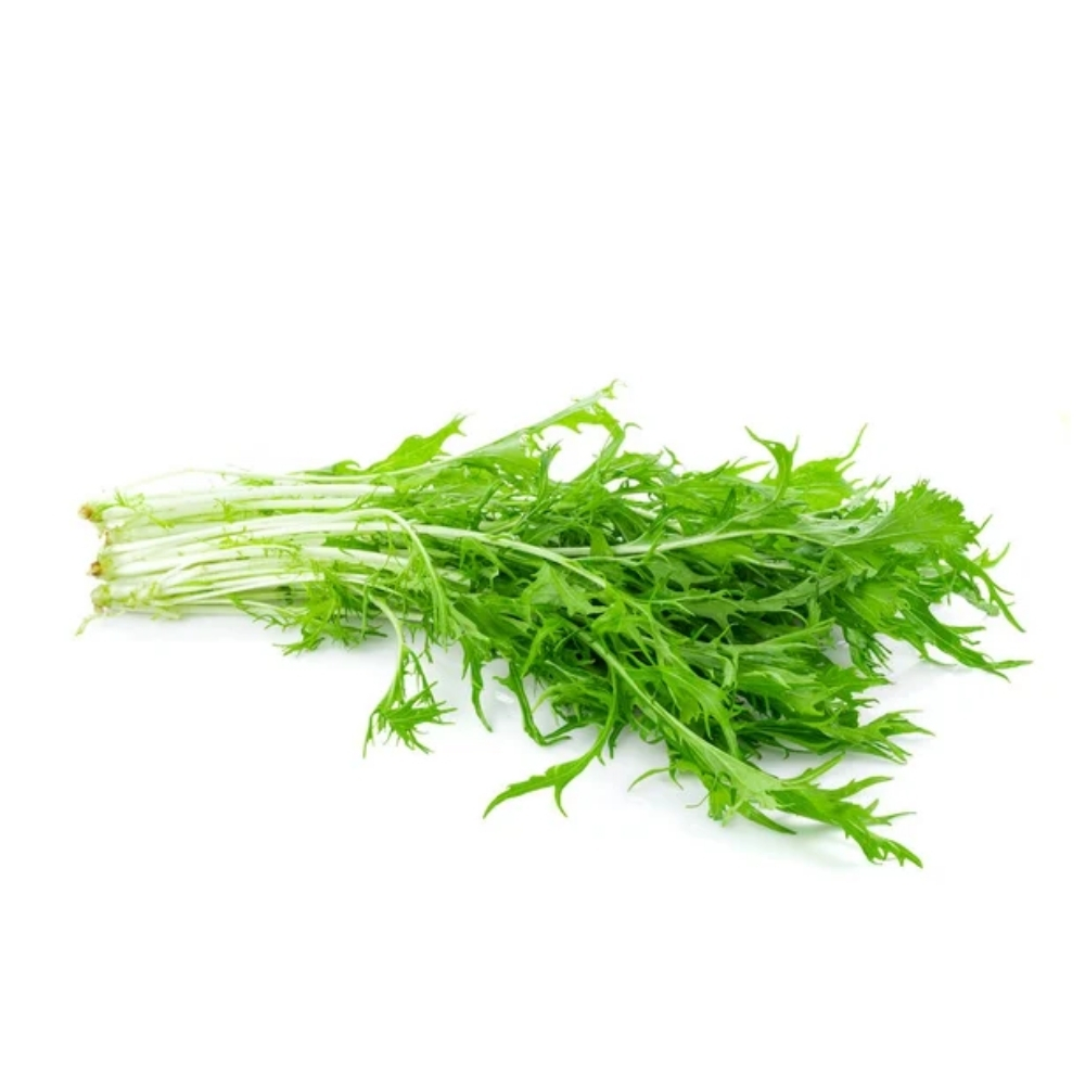 [660716] Jeunes Pousses de Chou Japonais Mizuna en Barquette Plastique 130g