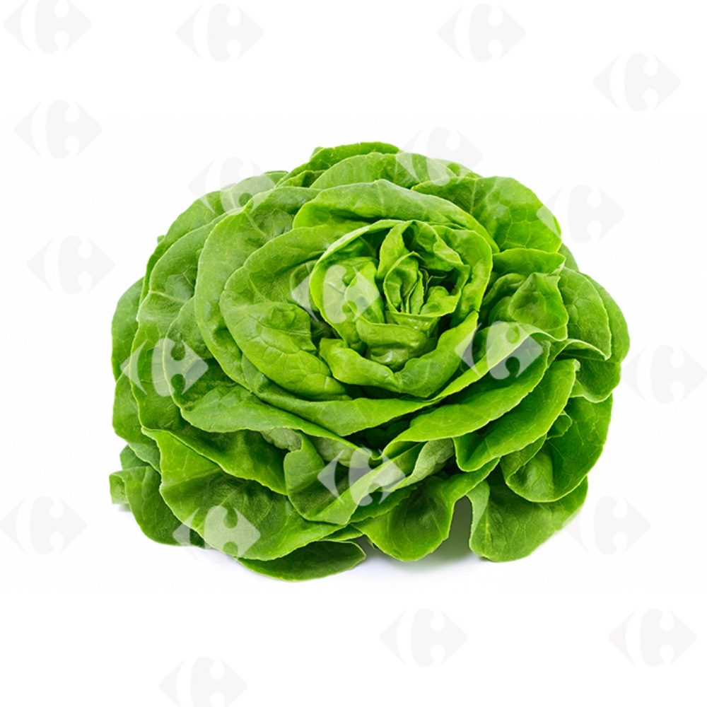 Laitue Verte Bio 100g