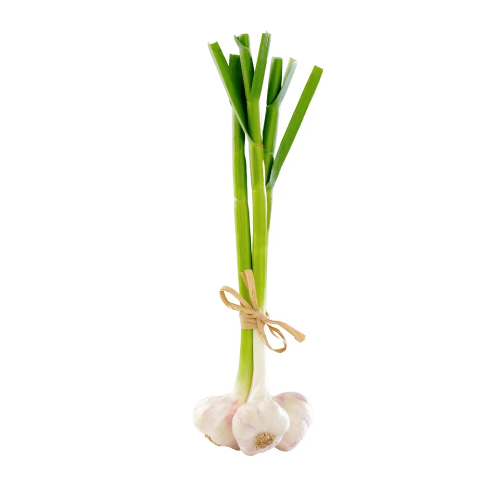 [626998] Ail Bio en Botte