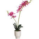 Pot Blanc Plante Artificielle Orchidée Rose Kasa