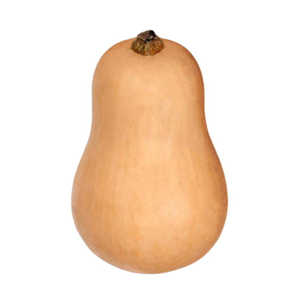 Courge Butternut Bio 500g