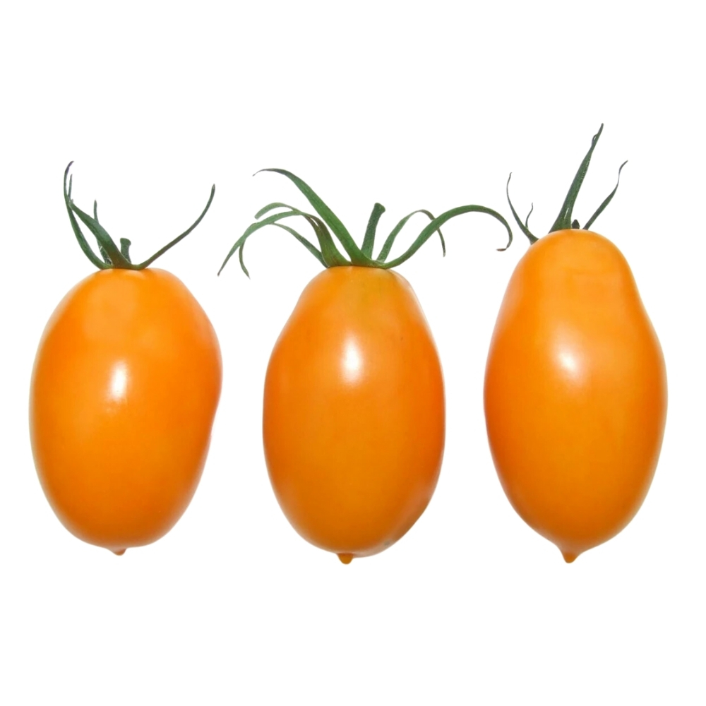 Tomate Orange Banana 500g