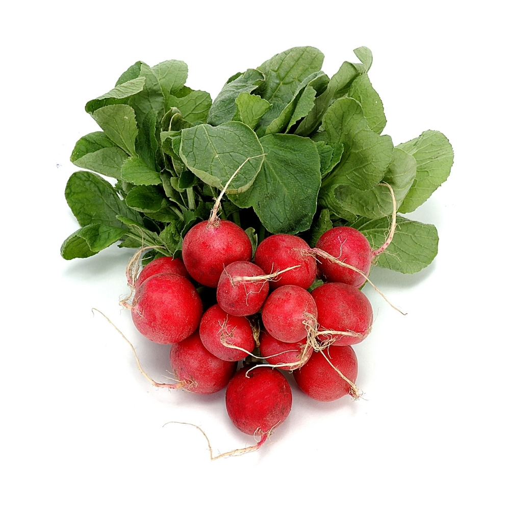 Radis Rouges Botte