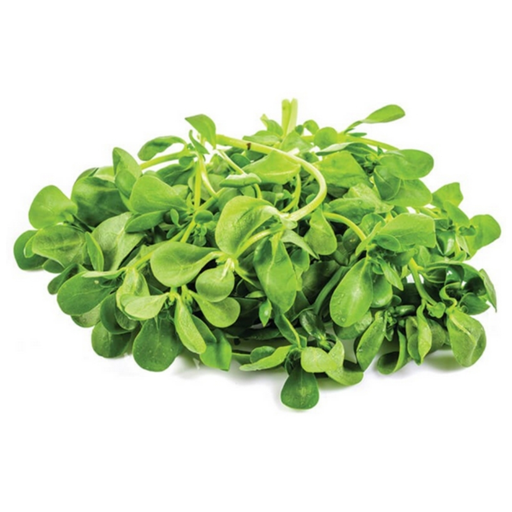 Pourpier 100g