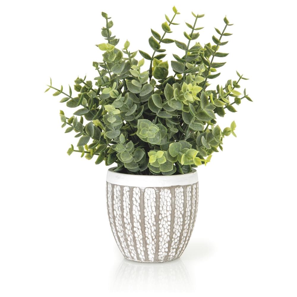 Plante Artificielle Eucalyptus avec Pot en Ciment Kasa 29 cm