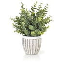 Plante Artificielle Eucalyptus avec Pot en Ciment Kasa 29 cm