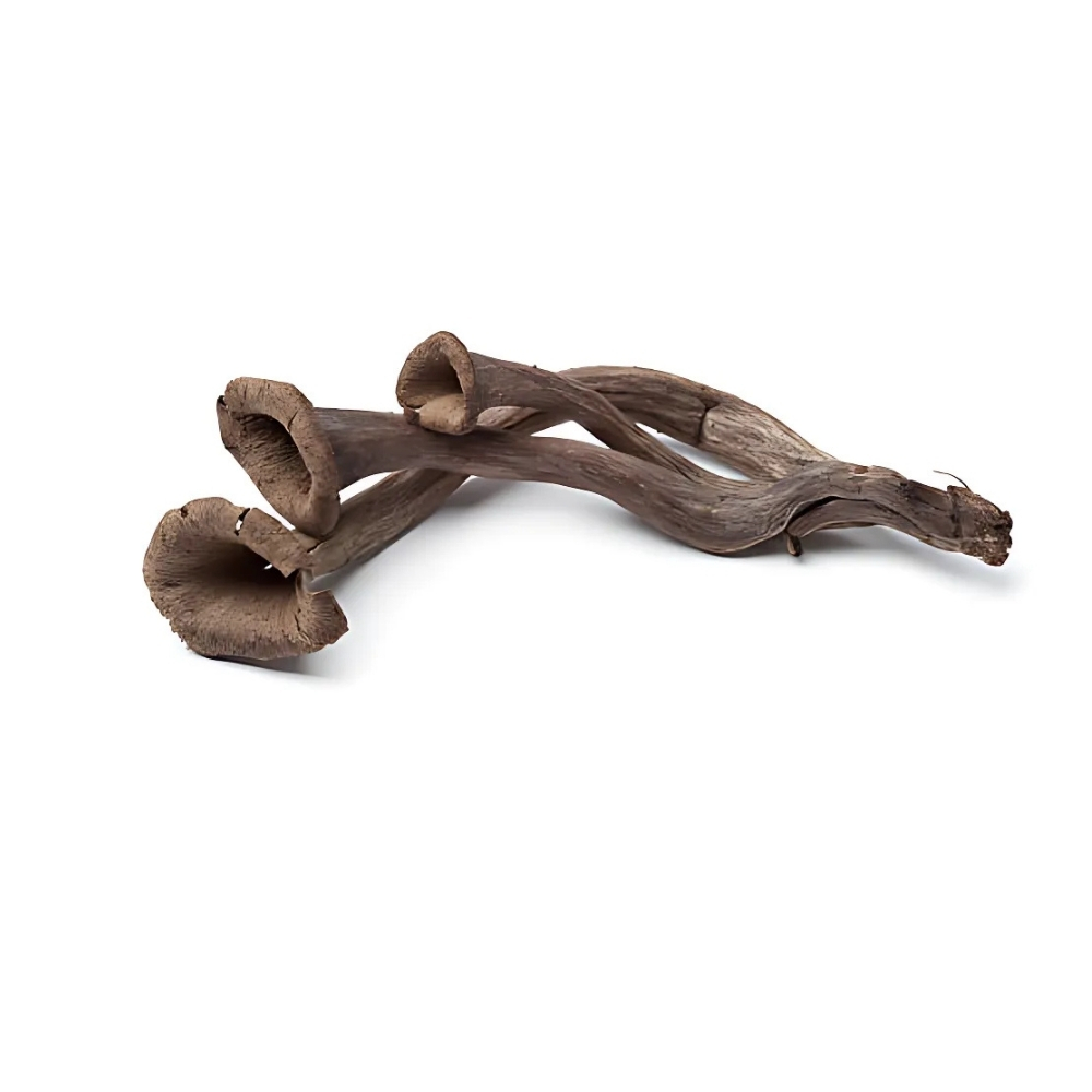 [208063] Trompette de La Mort 250g