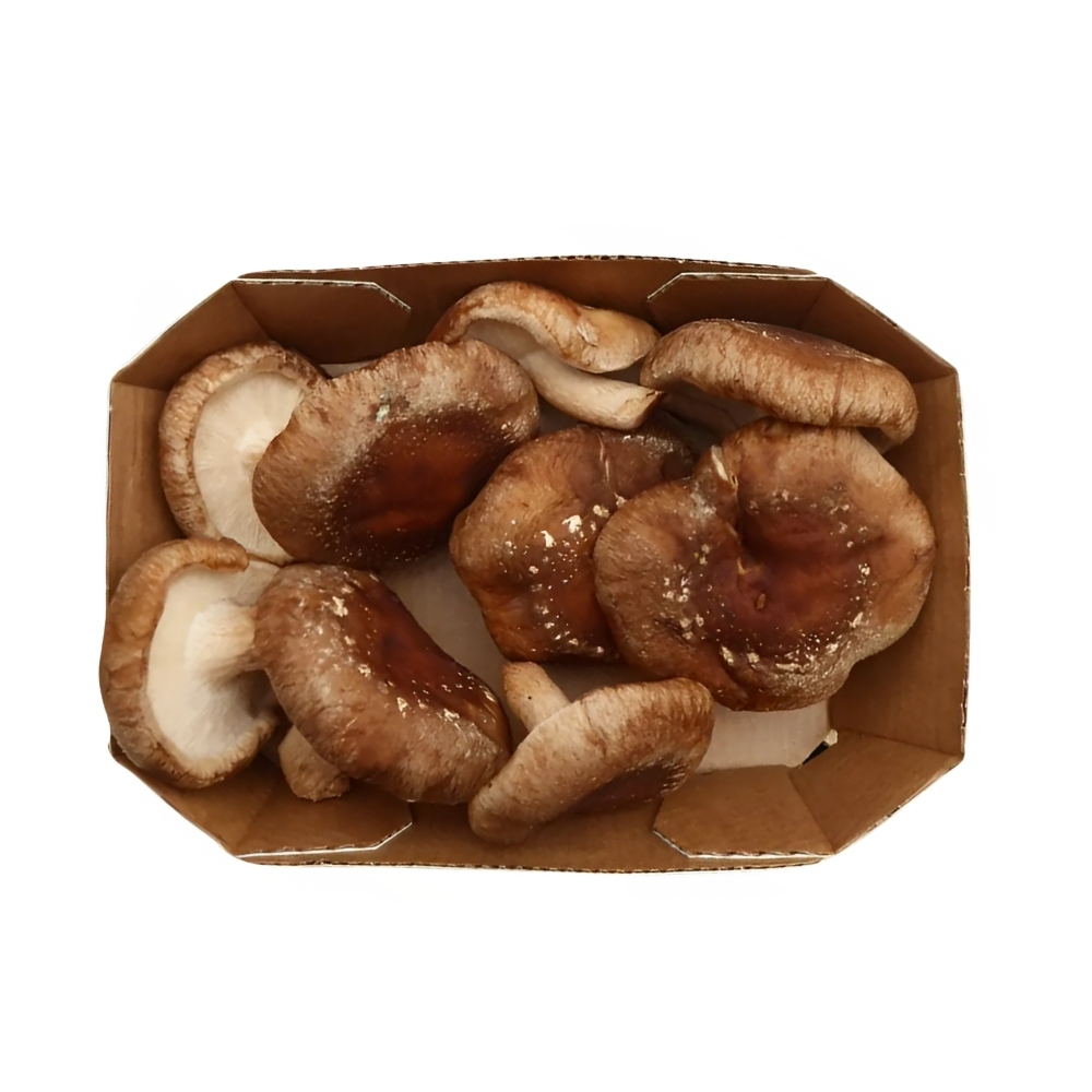 Champignon Shiitake Bio Barquette 100g