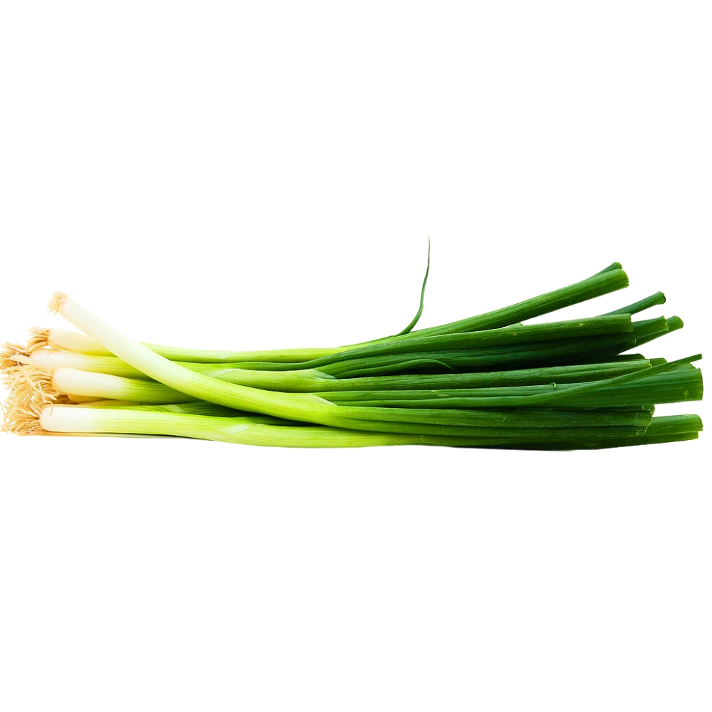 [666113] Ciboule 100g