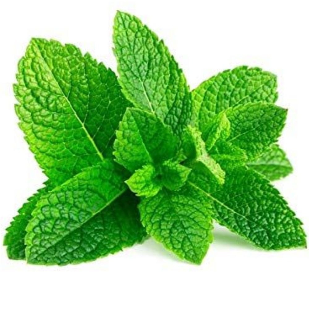 Menthe Fluo Bio 50g