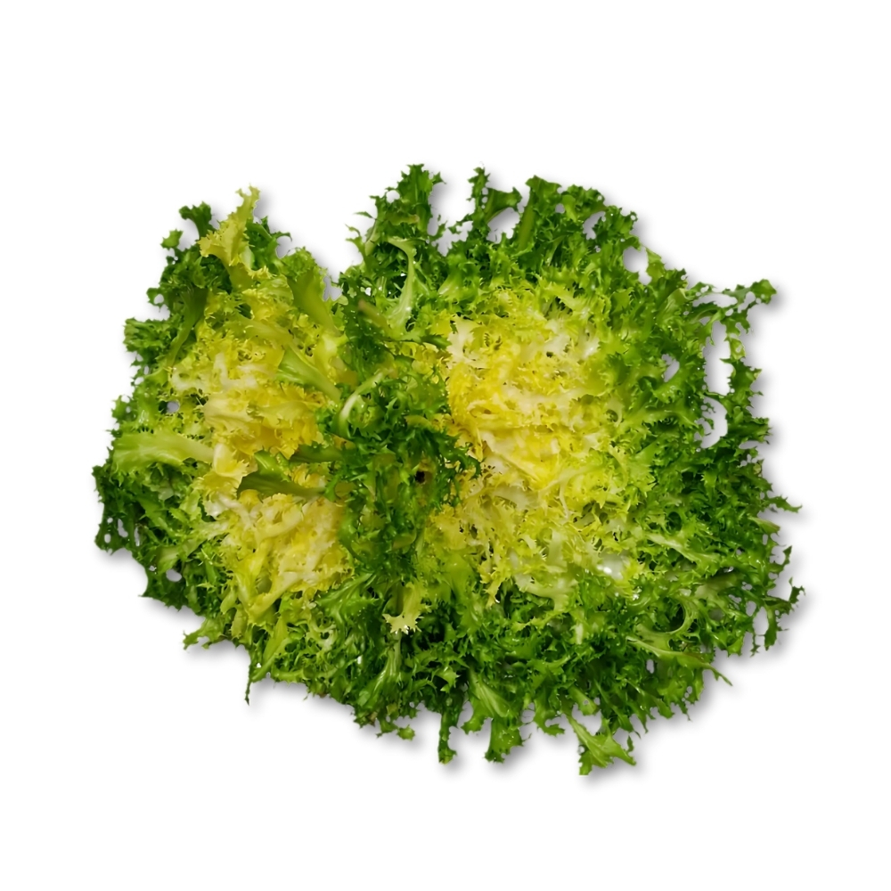 Salade Laitue Scarole 1 unité