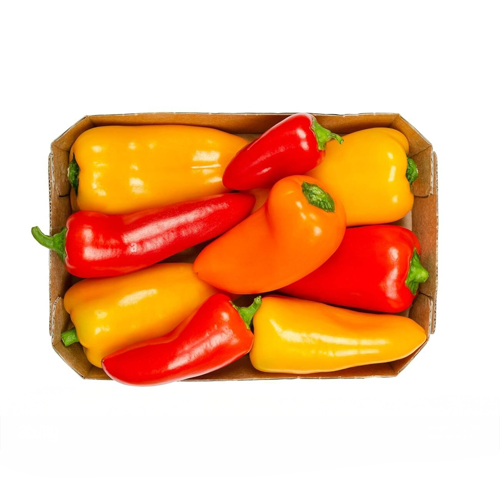 Mini Poivron Kappy Mixte en Carton 500g