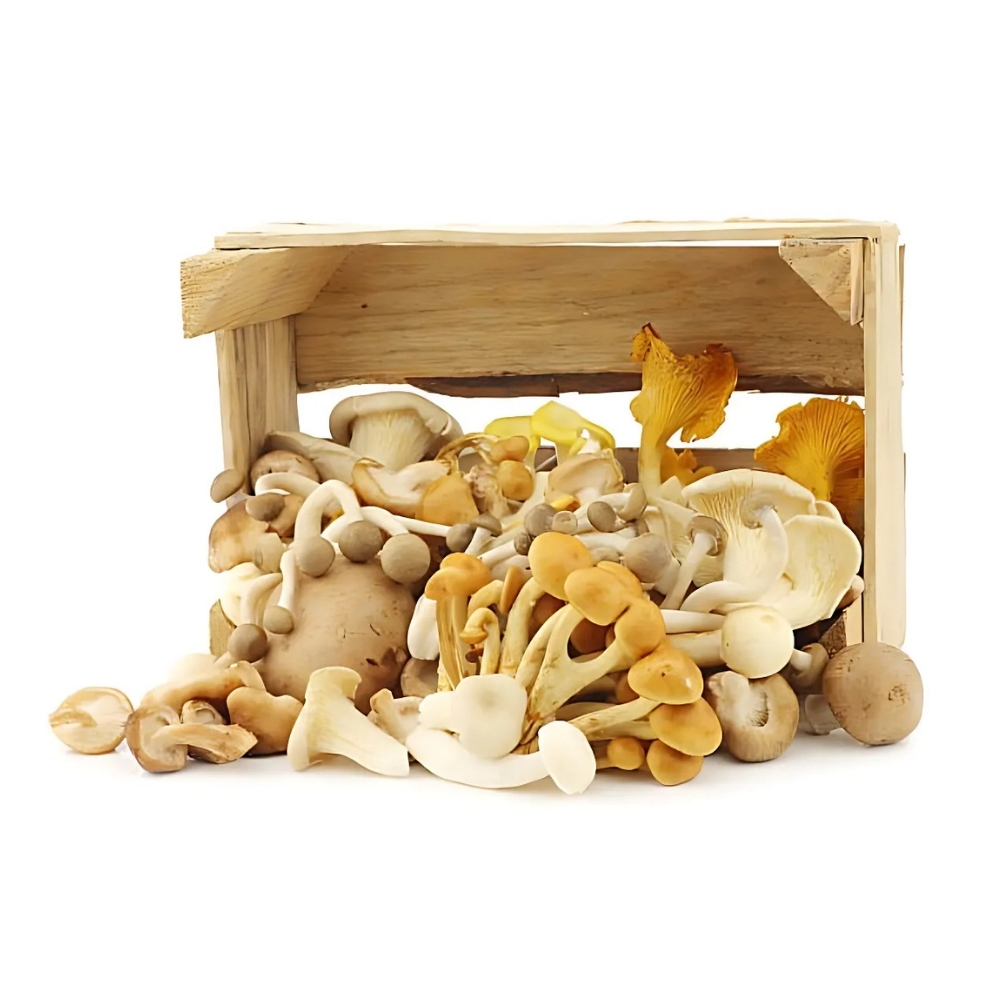 [604760] Champignon Mixte à La Pièce
