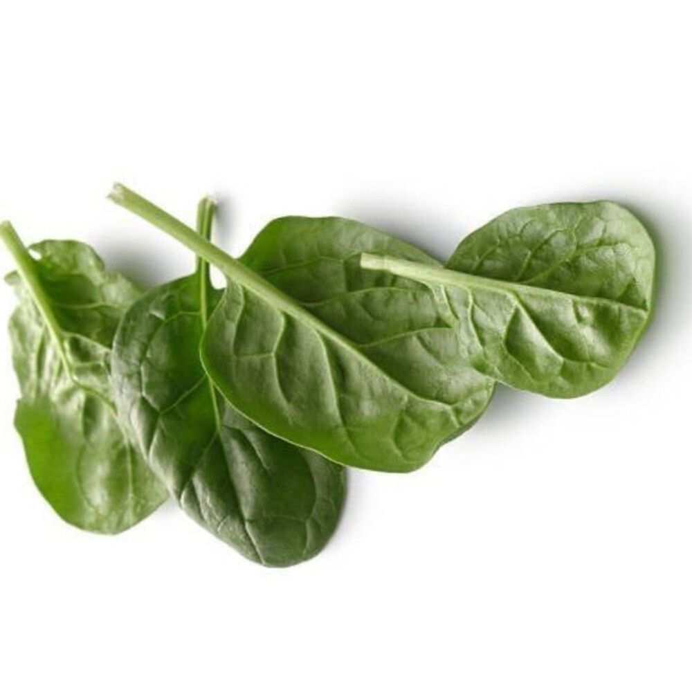 Arroche Verte 500g