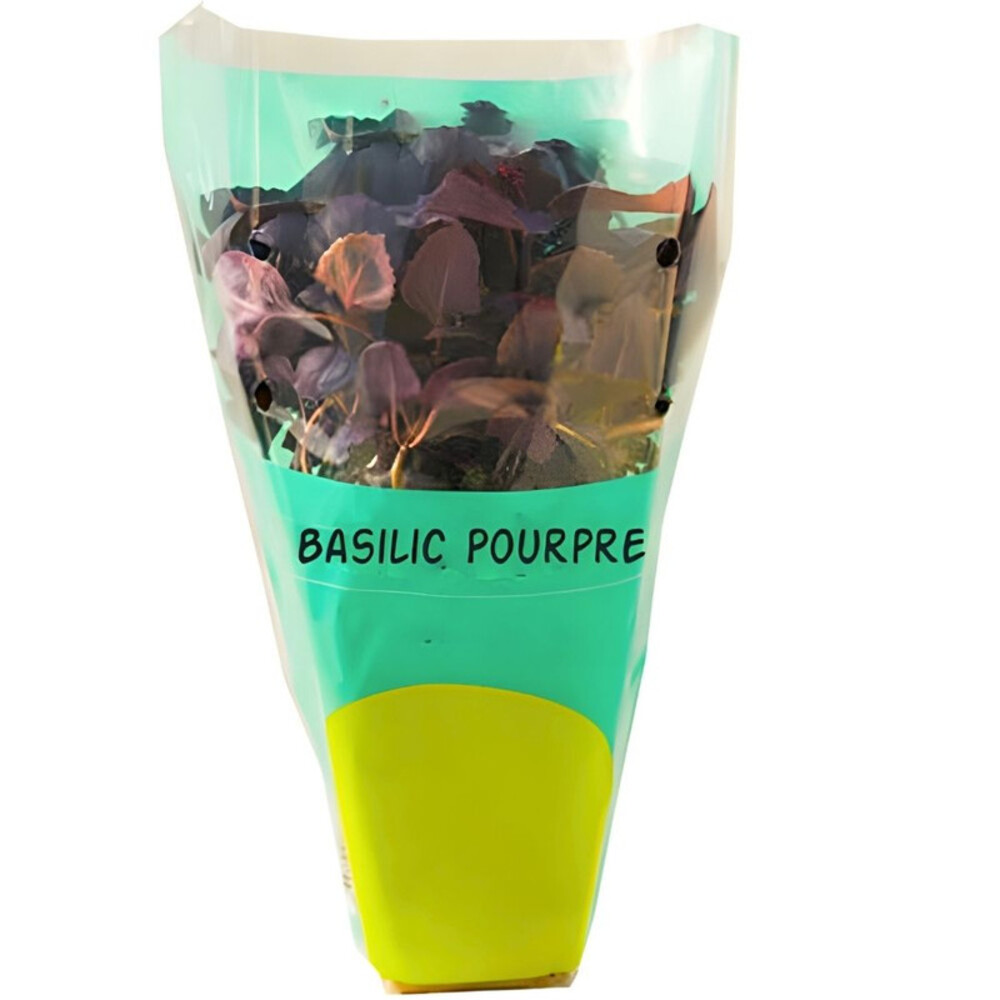 [665932] Basilic Pourpre 25g