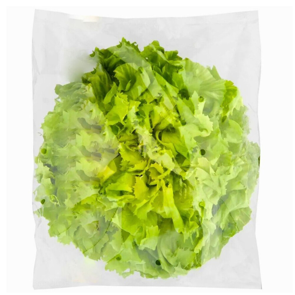 Laitue Scariole 200g