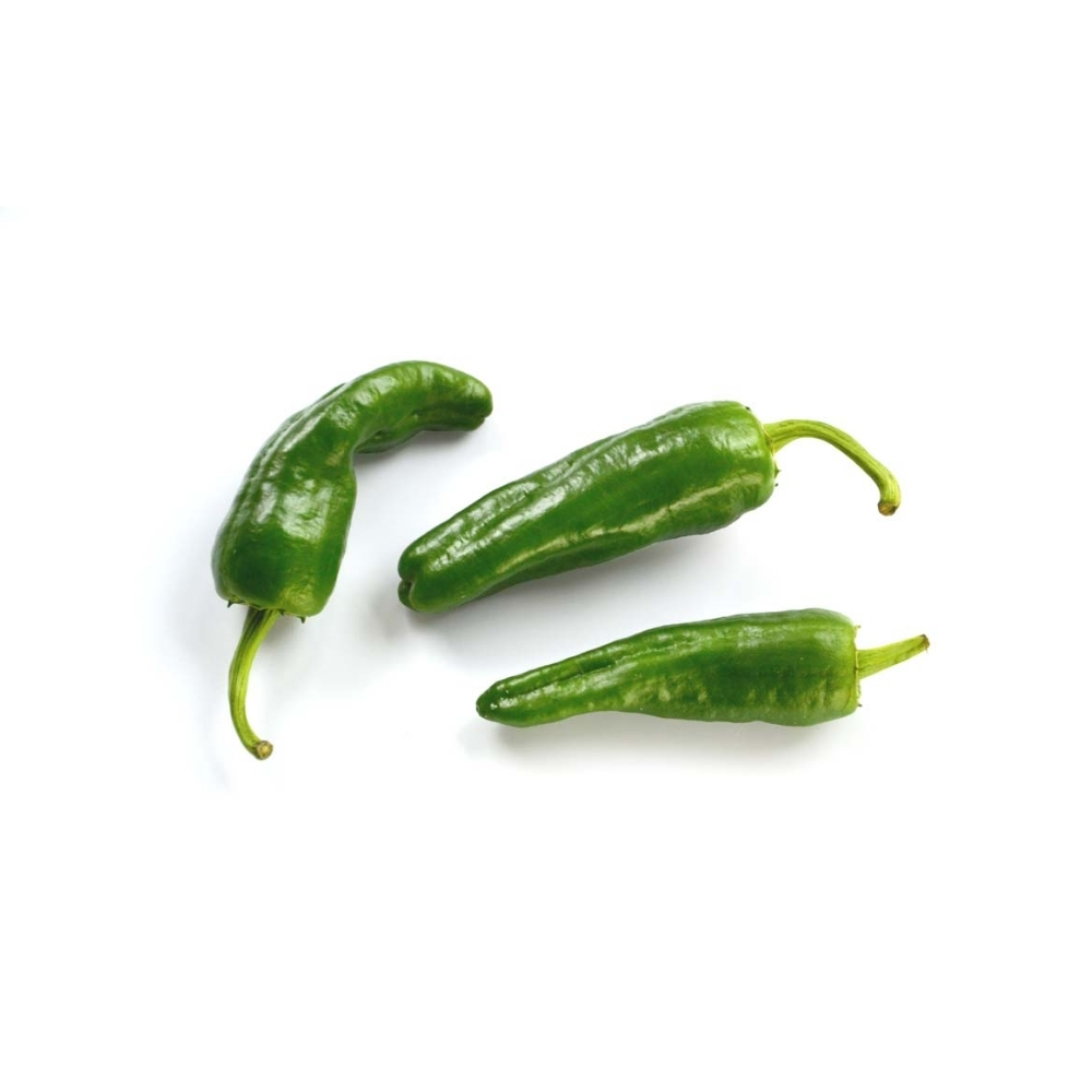 [209688] Piment Padron 500g