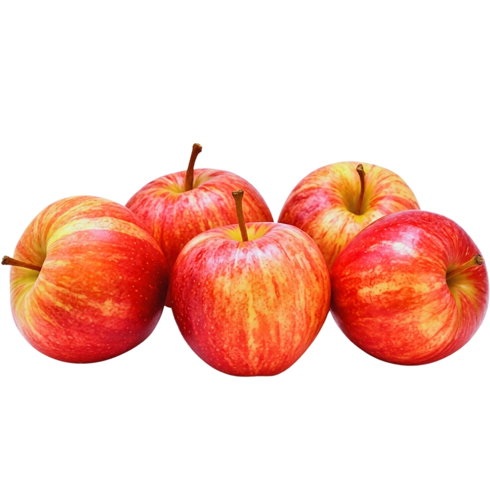 [227622] Pomme Gala Gros Calibre Arbor 500g