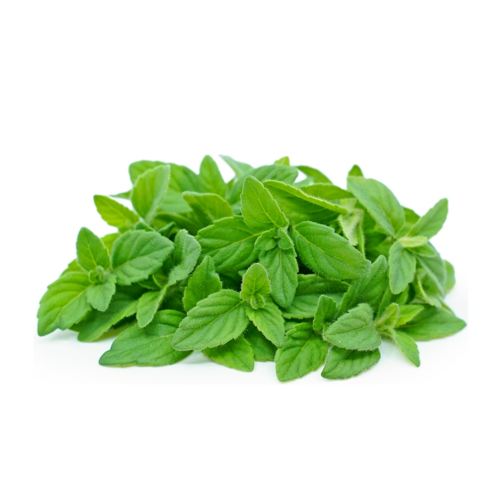 Menthe Basilic à La Pièce