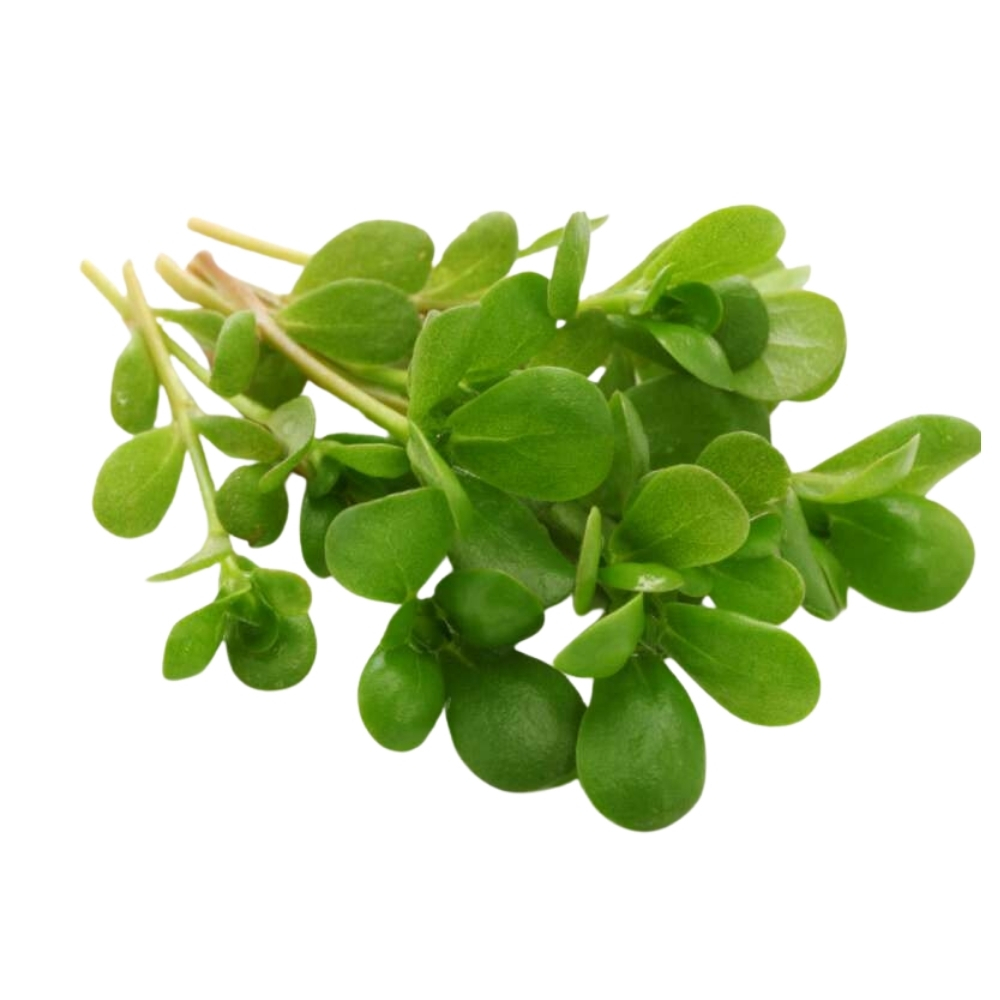 Pourpier Bio Sachet 20g
