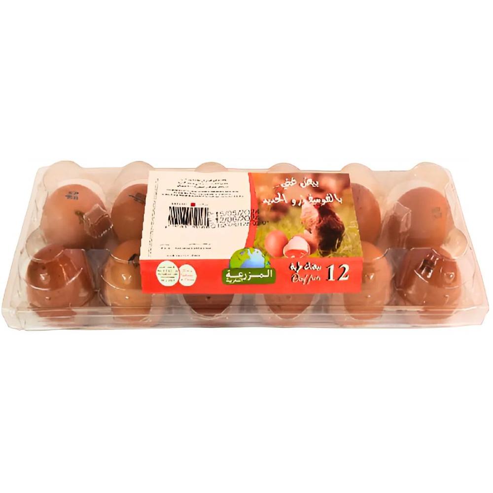 [684196] Oeufs Jaune Orange Ovocorpe 12 unités