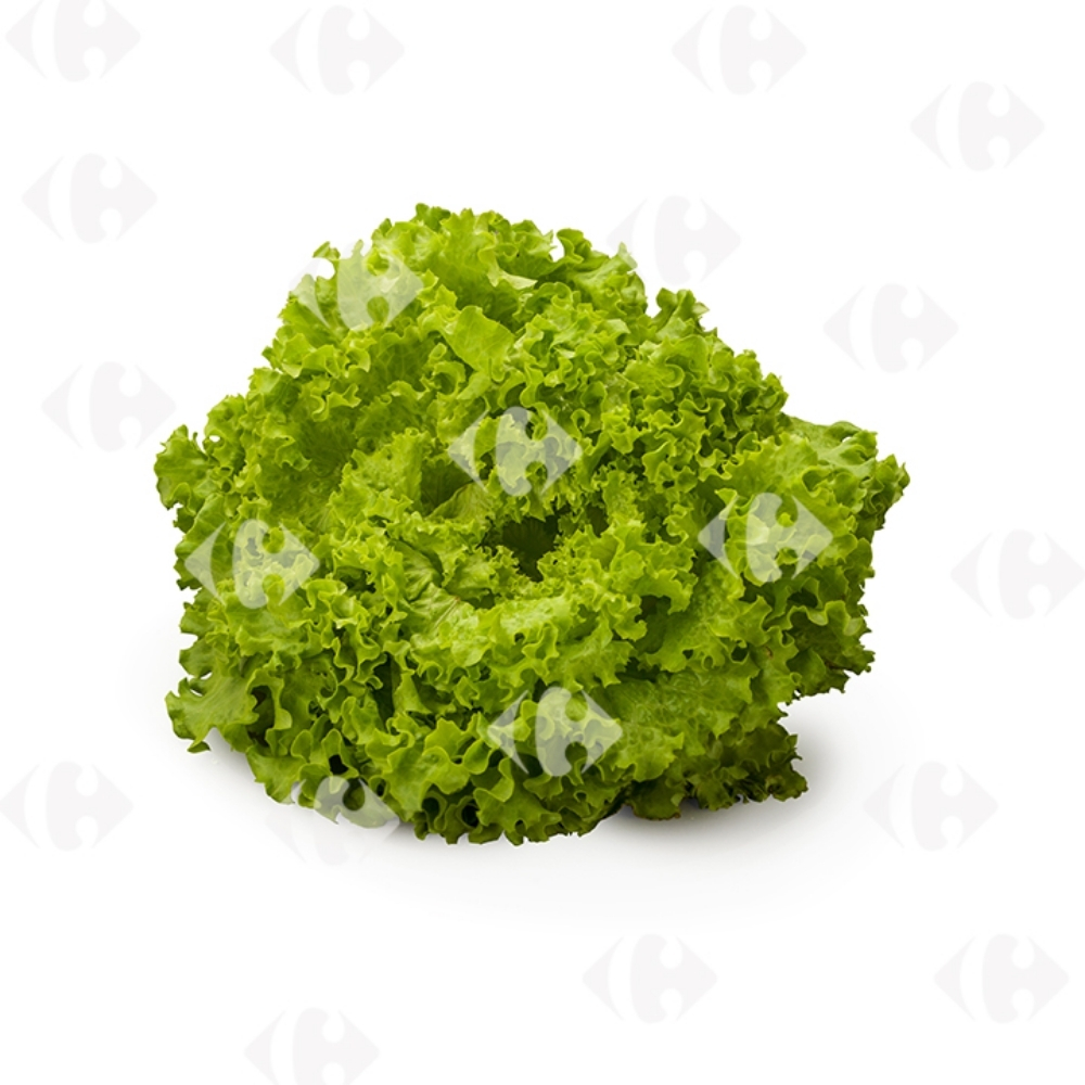 Laitue Batavia Verte Bio à la Pièce