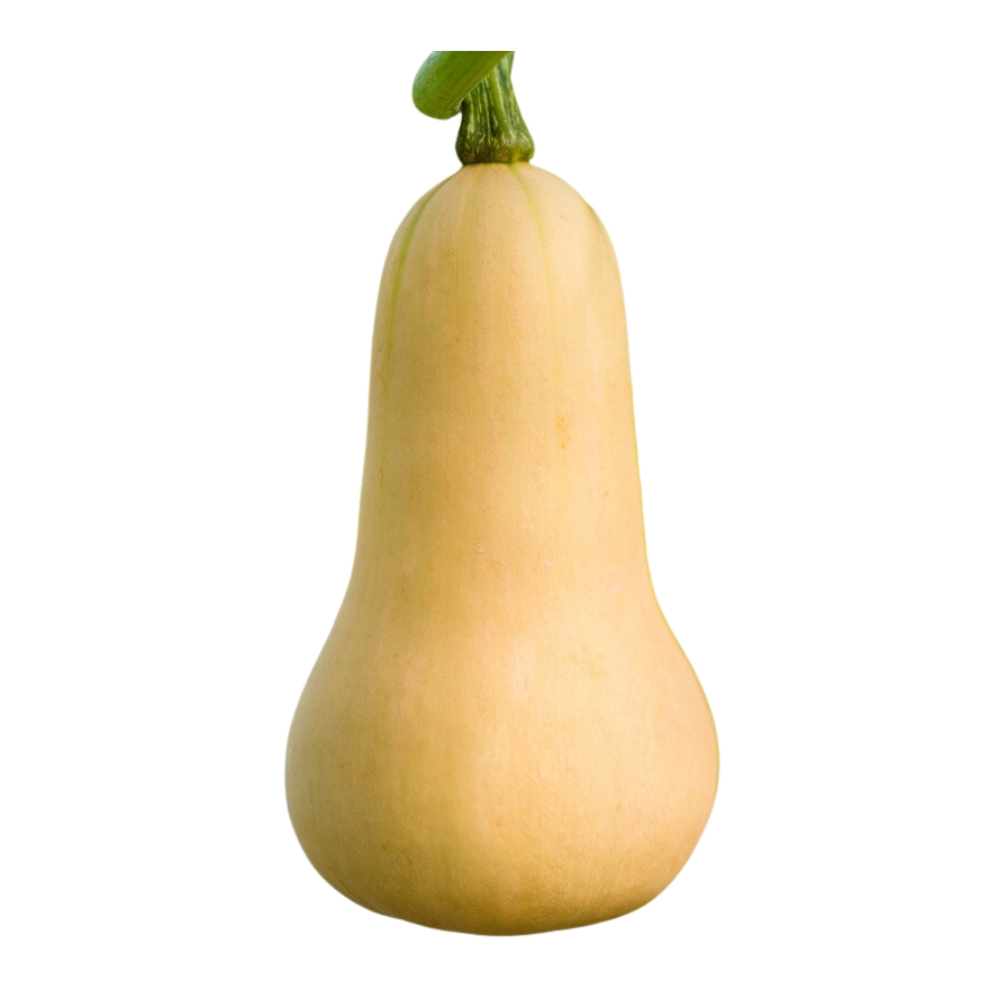 Courgette Butternut 500g
