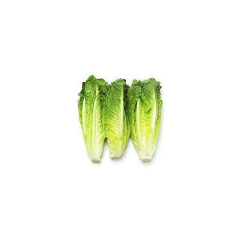 [616708] Cœur de Laitue en Sachet 500g