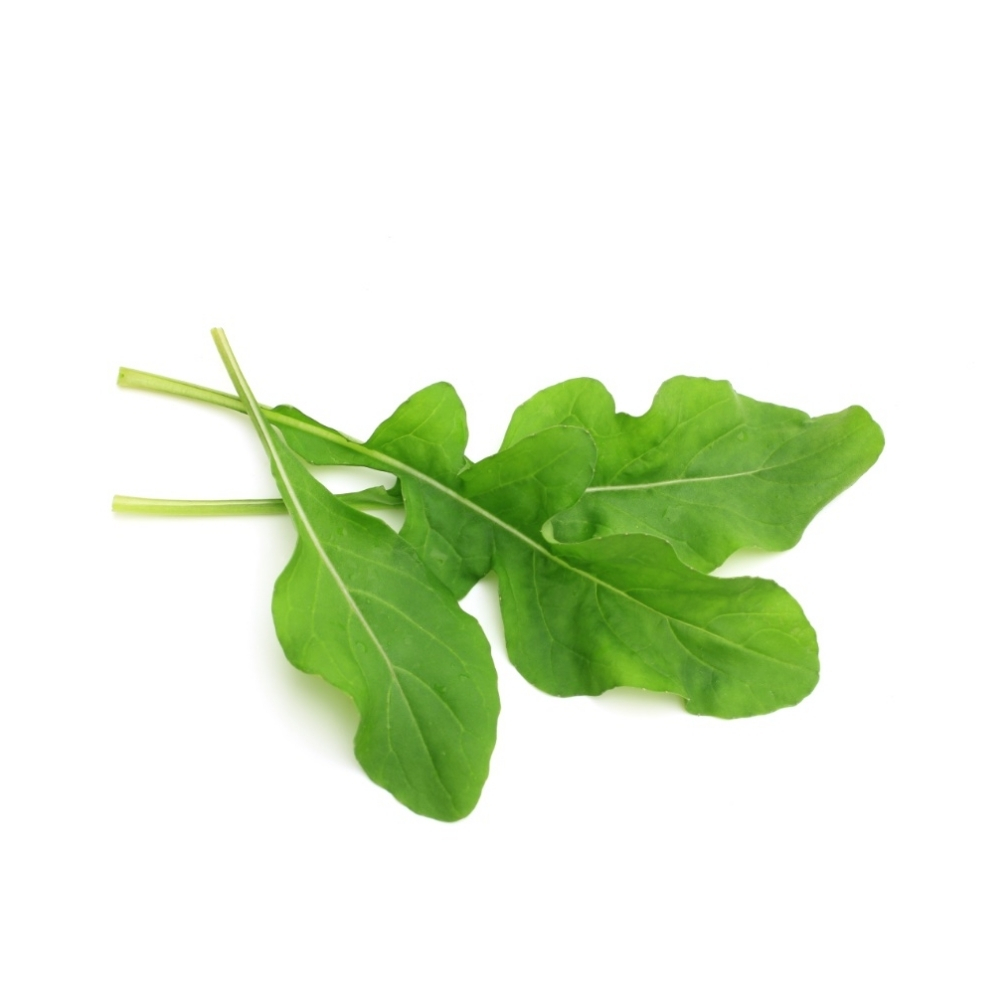 Jeunes Pousses de Roquette en Barquette Plastique 130g
