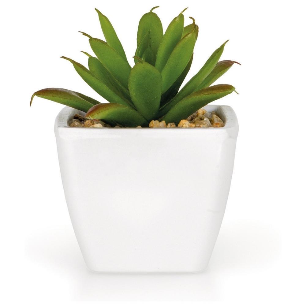 [722429] Plante Artificielle Echeveria en Pot Plastique Kasa 6 cm